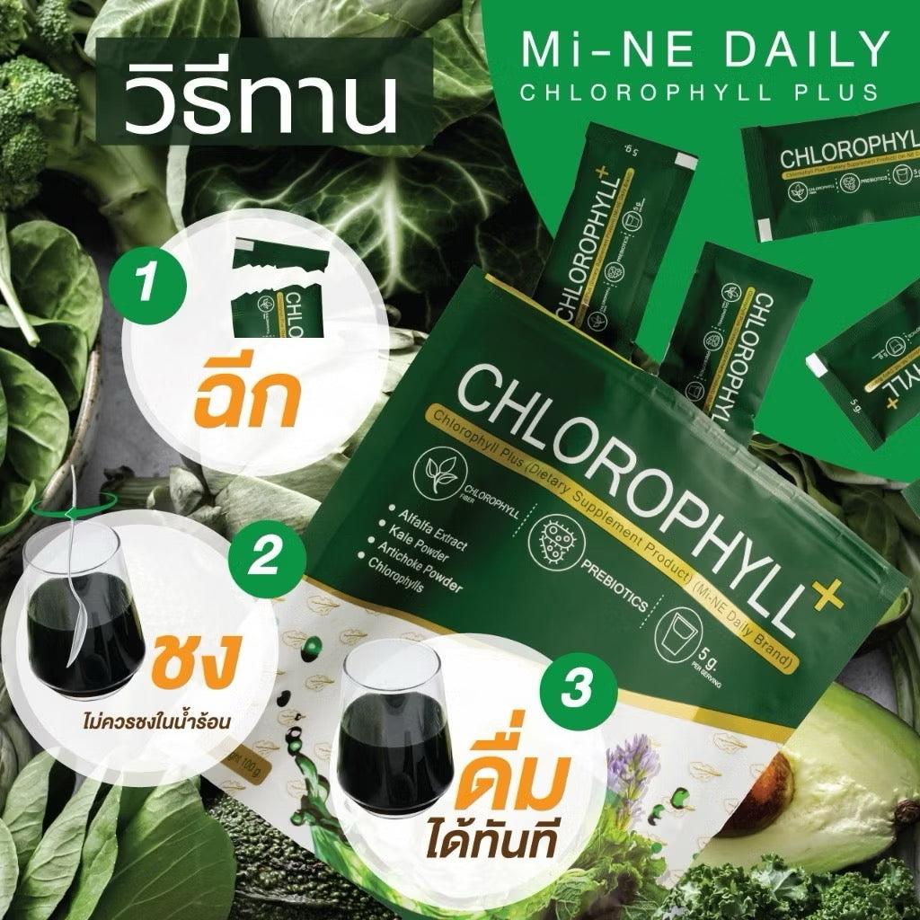 🥬 CHLOROPHYLL+ คลอโรฟิลล์ สอดอ