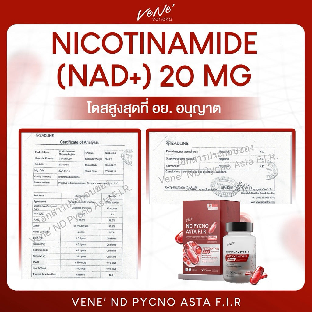 Vene’ ND Pycno Asta F.I.R. เวเน่ แอสต้าแซนธิน + NAD สูตรรวมตัวท็อป 30 แคปซูล