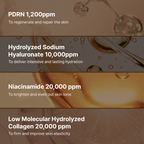 DR. REJU-ALL Advanced PDRN Rejuvenating Cream ฟื้นฟูและซ่อมแซมผิว 20g. *New Packaging