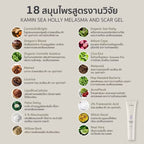 สกาเจลสมุนไพรสูตรงานวิจัย VIV SKIN เคลียร์ครบจบทุกรอย ฝ้า รอยดำแดง รอยแผลสิว 10 g