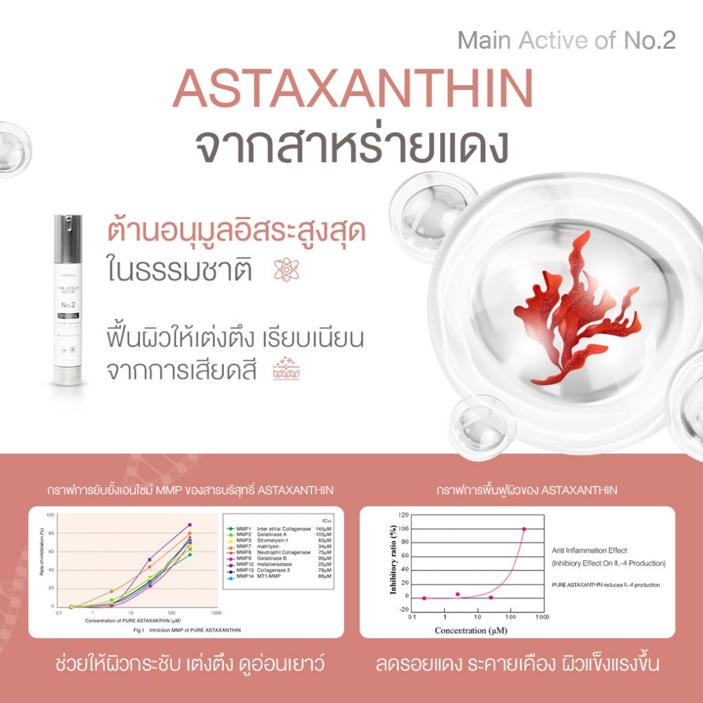 Camellia Serum เซรั่มจุดซ่อนเร้น ผิวชุ่มชื้น ลดแห้งแสบ ตกขาว มีกลิ่นคัน กระจ่างใส ทาภายนอก 30ml (มี2สูตรให้เลือก)
