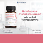 ⛔️(Pre-order)พิกโนจีนอล และสารสกัดจากมะเขือเทศ พลัส เซราไมด์ Pycnogenol And Tomato Extract Plus Ceramide