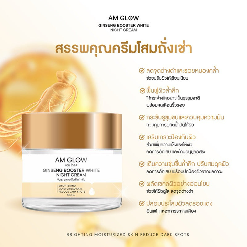 AM GLOW Night Cream ครีมโสมถังเช่า 5g