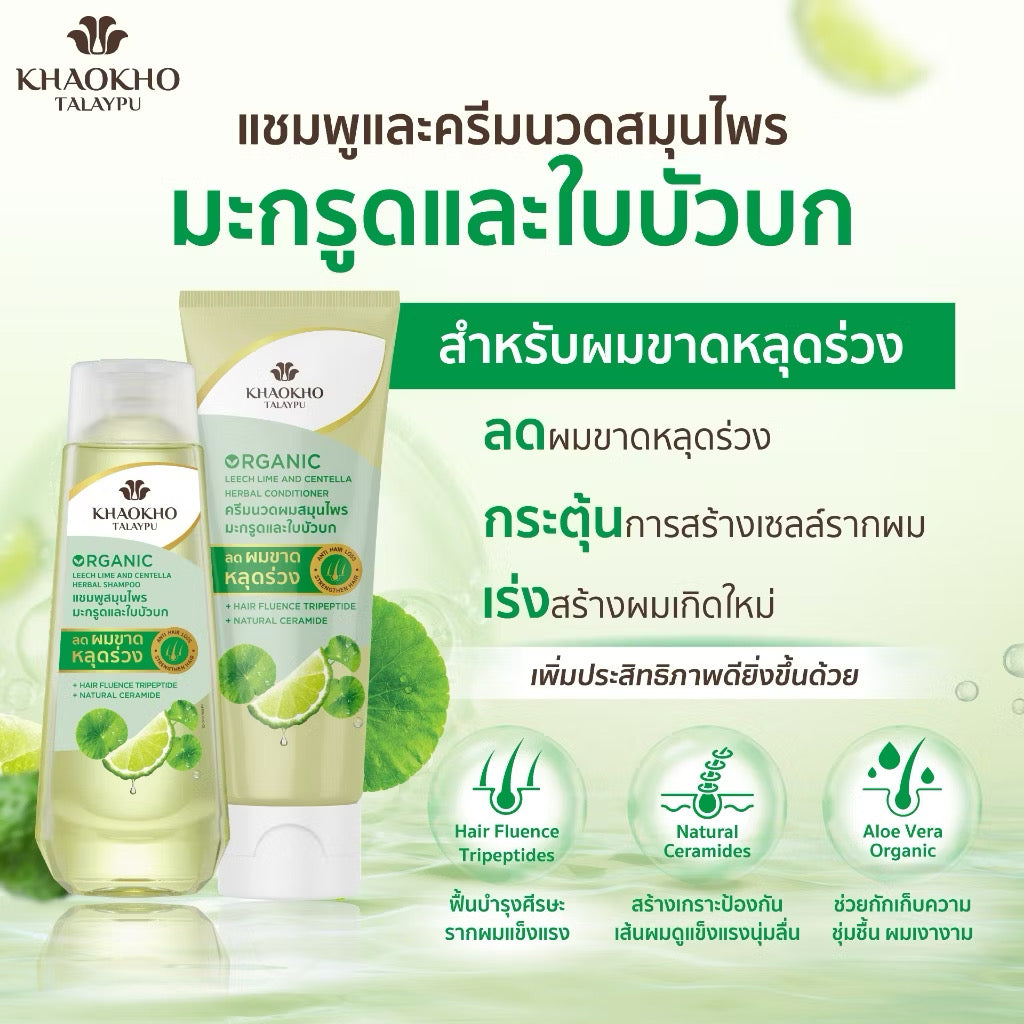 [เซตคู่สุดคุ้ม] Khaokho Talaypu เขาค้อทะเลภู แชมพู + ครีมนวด สูตรมะกรูดและใบบัวบก ช่วยลดผมร่วง (180ml+ 160ml)