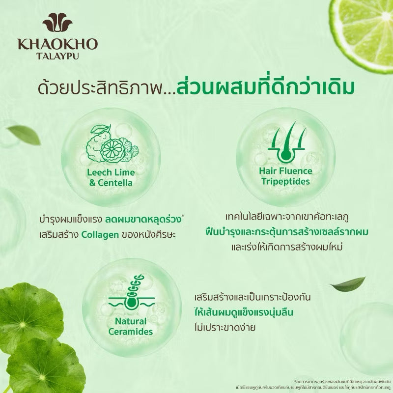 [เซตคู่สุดคุ้ม] Khaokho Talaypu เขาค้อทะเลภู แชมพู + ครีมนวด สูตรมะกรูดและใบบัวบก ช่วยลดผมร่วง (180ml+ 160ml)