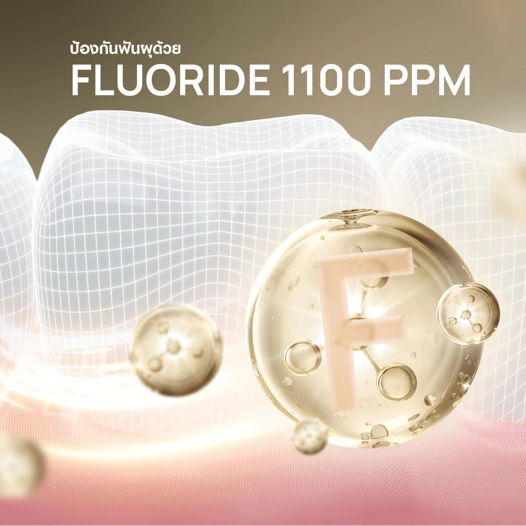 DENTISTE' Premium Care Toothpaste ยาสีฟันสูตรพรีเมี่ยมแคร์ 100g.