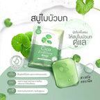 Cica Revitalizing Soap สบู่ใบบัวบก ดูแลผิวเป็นสิวและผิวแพ้ง่าย 1 ก้อน 50g. ⛔️เข้า 13/3