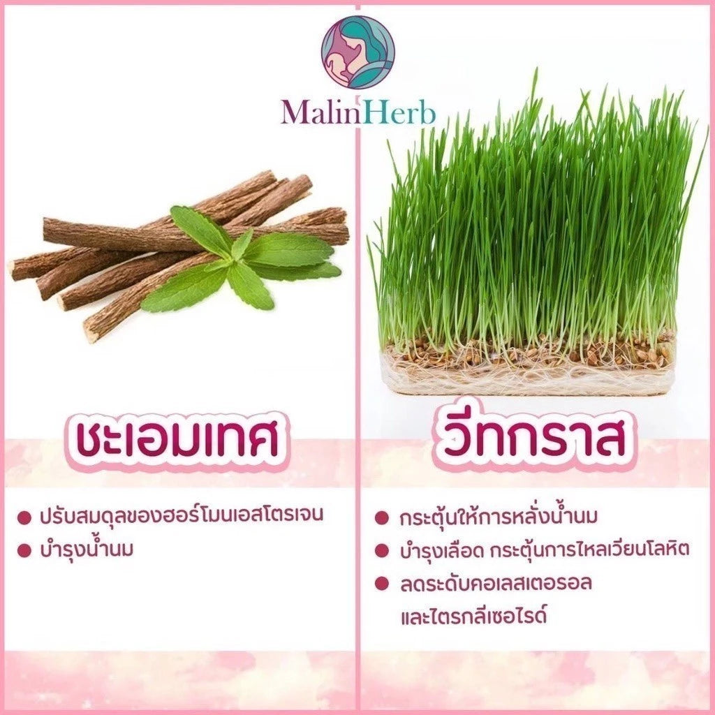 ⛔️ (Pre-order) Malinherb อุ่นไอรัก ชาหัวปลีกระตุ้นน้ำนม สมุนไพร 100% ไม่มีคาเฟอีน ไม่มีน้ำตาล 15 ซอง