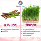 ⛔️ (Pre-order) Malinherb อุ่นไอรัก ชาหัวปลีกระตุ้นน้ำนม สมุนไพร 100% ไม่มีคาเฟอีน ไม่มีน้ำตาล 15 ซอง