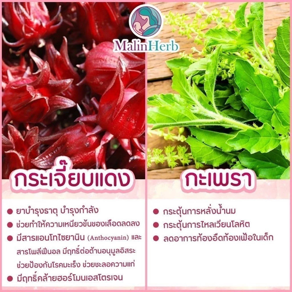 ⛔️ (Pre-order) Malinherb อุ่นไอรัก ชาหัวปลีกระตุ้นน้ำนม สมุนไพร 100% ไม่มีคาเฟอีน ไม่มีน้ำตาล 15 ซอง