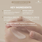 Moleculogy Starter Overnight Repair 72 Hours ครีมปิดผิว เหมาะสำหรับผิวแห้ง ผิวแตก 50ml