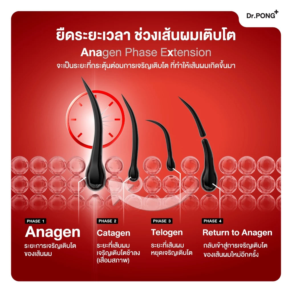 (Pre-order )Dr.PONG ANA-X 30 ลดผมร่วง เพิ่มจำนวนและความแข็งแรงของเส้นผม 30 แคปซูล