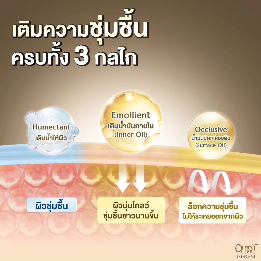 AMT Emulsion มอยเจอร์ไรเซอร์เข้มข้น สำหรับผิวแห้งมาก ฟื้นฟูผิวชุ่มชื้นล้ำลึก 120ml. (มีให้เลือก 3 สูตร)