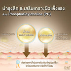 AMT Emulsion มอยเจอร์ไรเซอร์เข้มข้น สำหรับผิวแห้งมาก ฟื้นฟูผิวชุ่มชื้นล้ำลึก 120ml. (มีให้เลือก 3 สูตร)