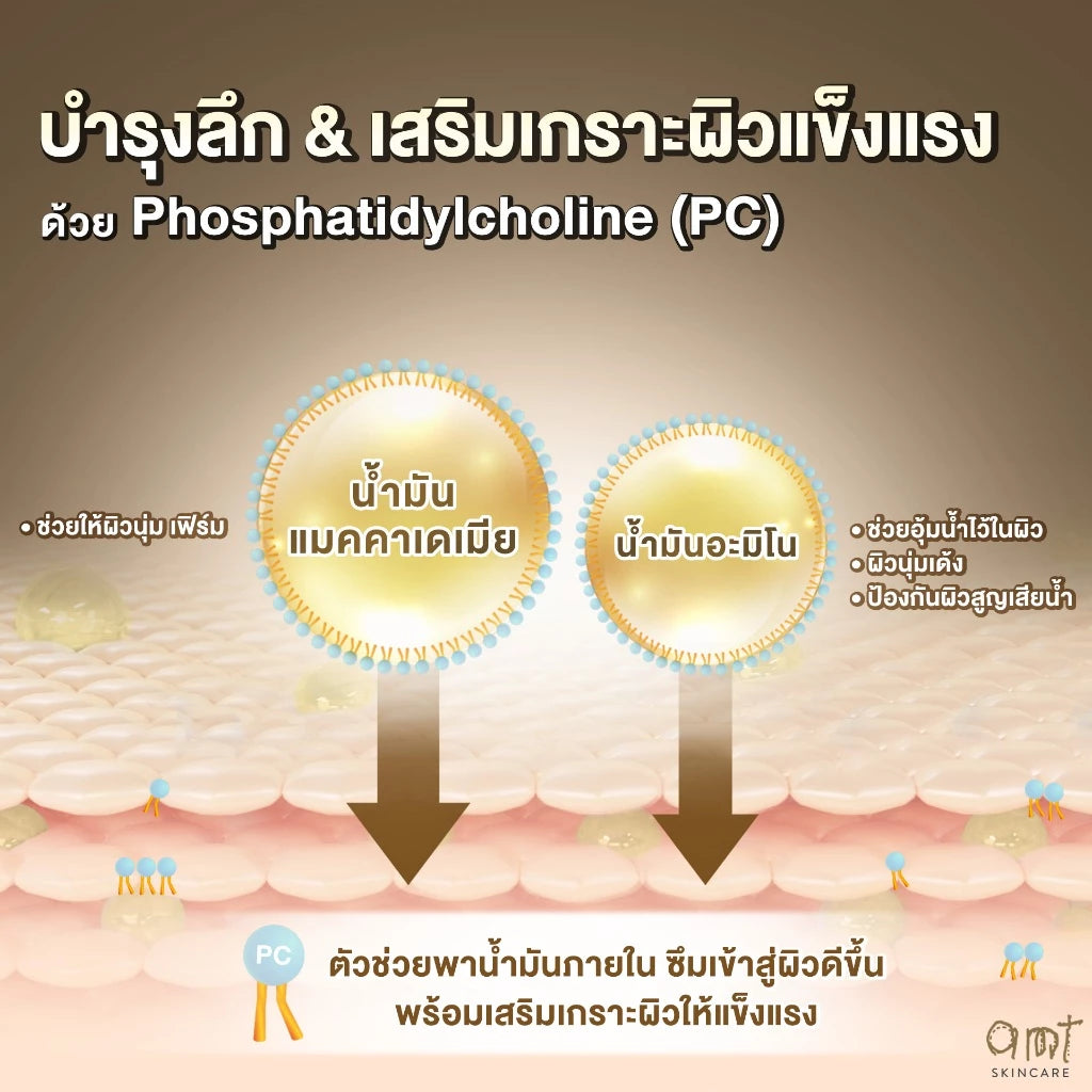 AMT Emulsion มอยเจอร์ไรเซอร์เข้มข้น สำหรับผิวแห้งมาก ฟื้นฟูผิวชุ่มชื้นล้ำลึก 120ml. (มีให้เลือก 3 สูตร)