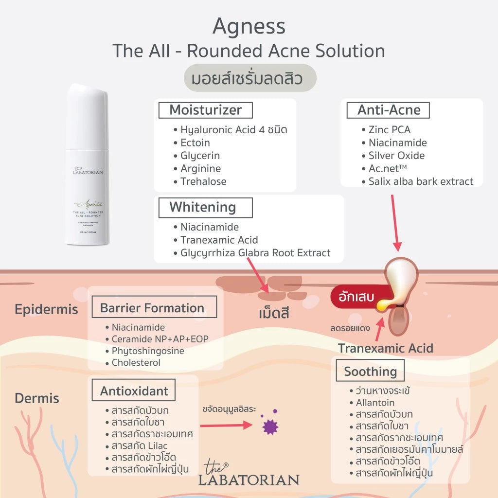 The Labatorian Agnéss The All-Rounded มอยส์เซรั่มลดสิว 30ml