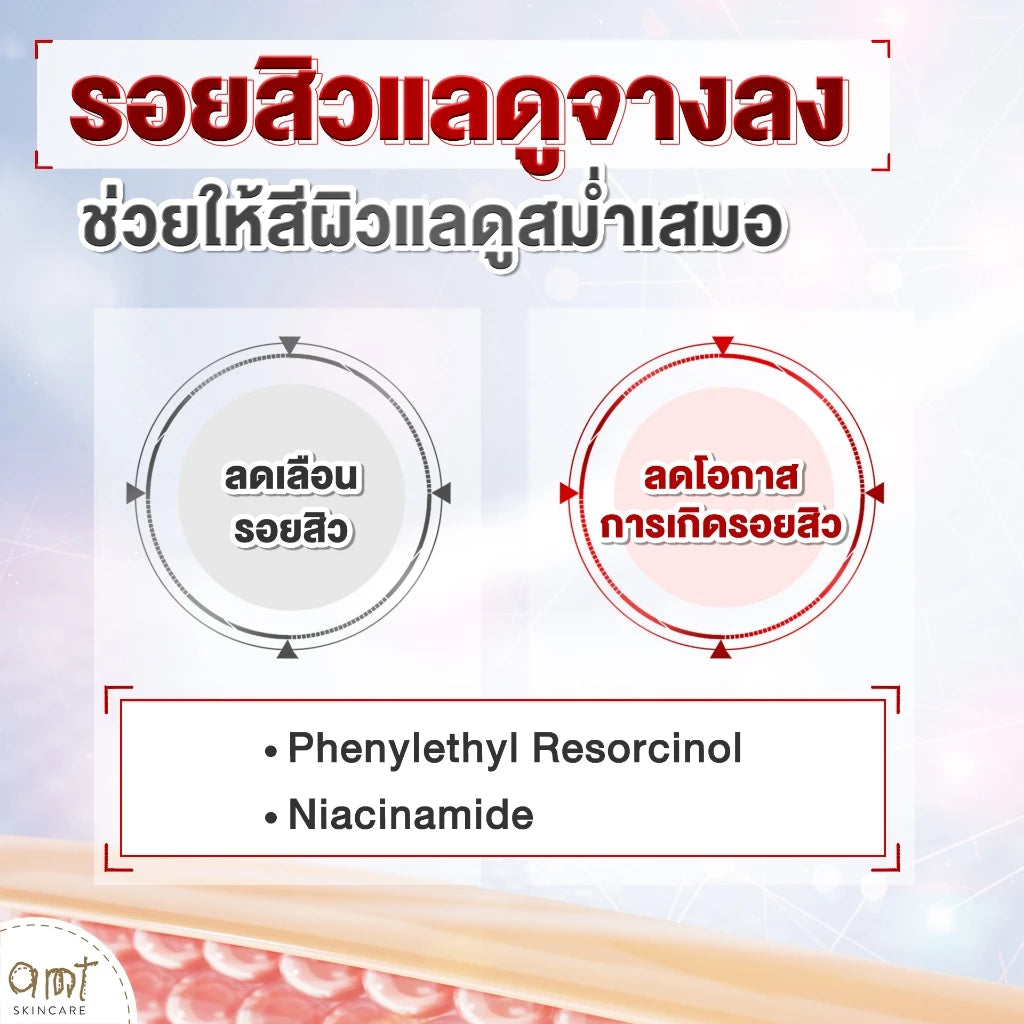 AMT Liposome Acne Spot Serum เจลแต้มสิว ลดสิวและรอยสิว 2in1 7ml.