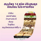 COTTONDAY แผ่นอนามัยสมุนไพร Snow Lotus ช่วยขับสารพิษ ดับกลิ่น 1 กล่องบรรจุ 2 แผ่น