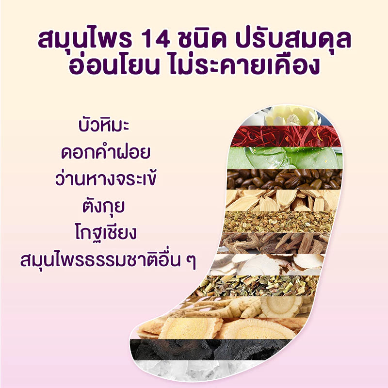 COTTONDAY แผ่นอนามัยสมุนไพร Snow Lotus ช่วยขับสารพิษ ดับกลิ่น 1 กล่องบรรจุ 2 แผ่น