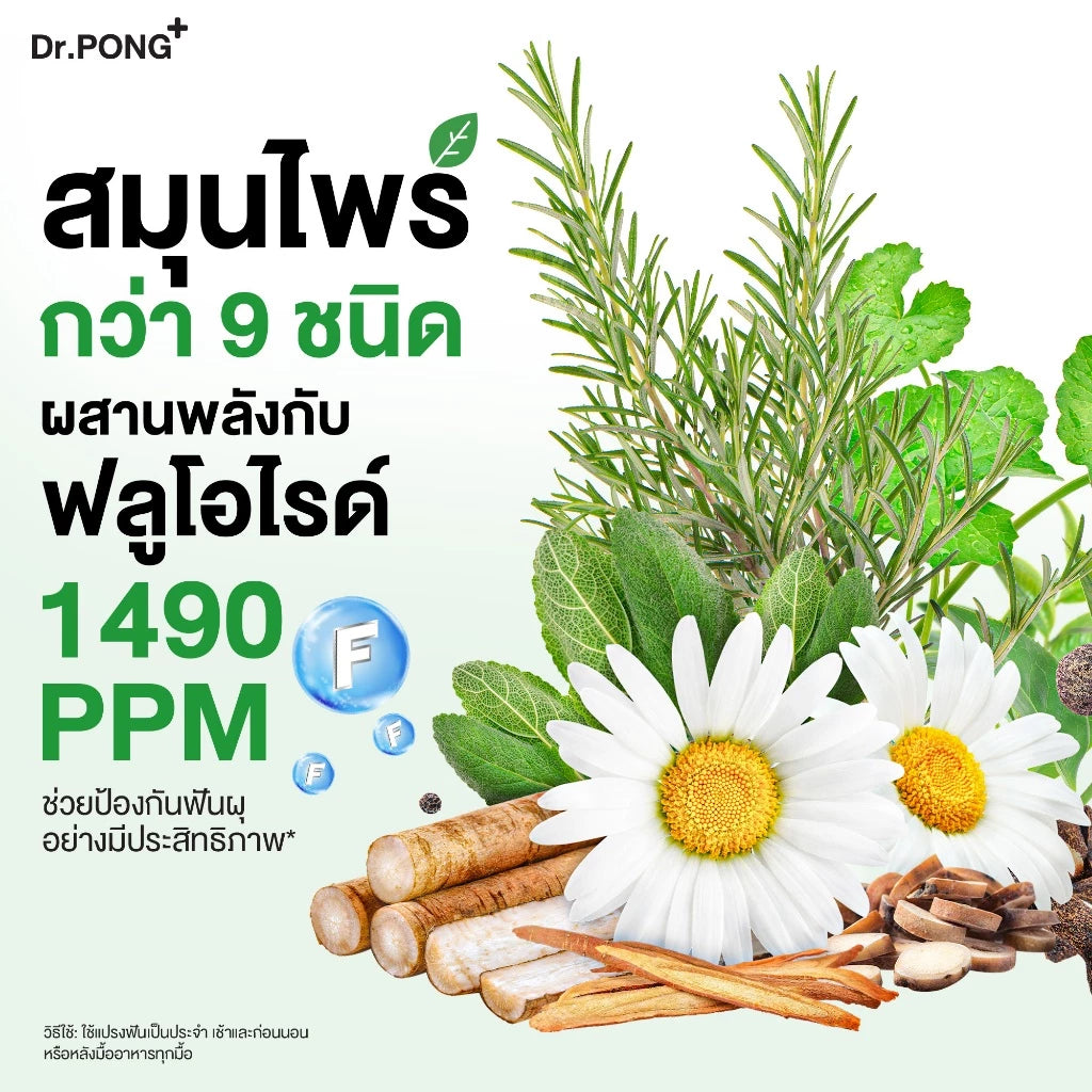 Dr.PONG 9X Herbal Plus Fluoride ยาสีฟันสมุนไพร ฟันขาว ลดเหงือกอักเสบ 100 g