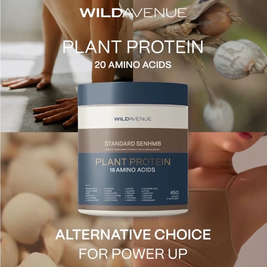 WILD AVENUE Standard SENHMB Plant Protein 18 Amino Acids Cacao โปรตีนพืชครบ 18 กรดอะมิโน รสคาเคา เหมาะสร้างกล้ามเนื้อและฟื้นฟูร่างกาย 450g