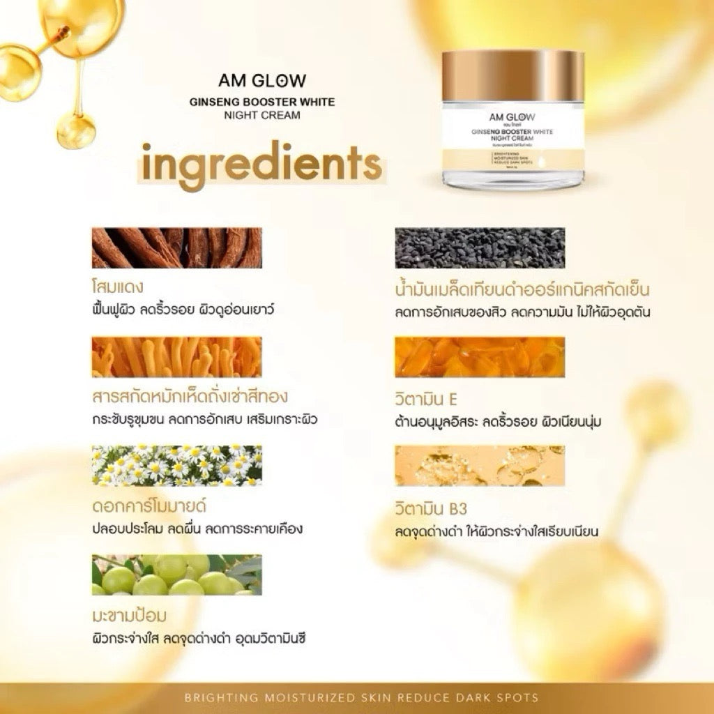 AM GLOW Night Cream ครีมโสมถังเช่า 5g