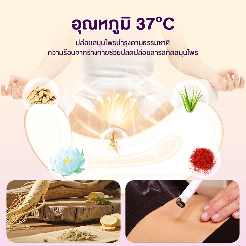 COTTONDAY แผ่นอนามัยสมุนไพร Snow Lotus ช่วยขับสารพิษ ดับกลิ่น 1 กล่องบรรจุ 2 แผ่น